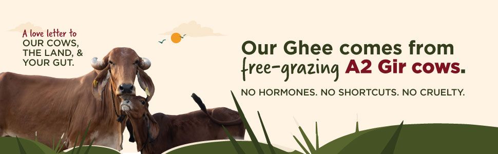 Ghee from free-grazing A2 Gir cows, no hormones, no shortcuts